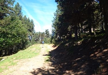 Tocht Stappen Albiès - 180914-PlateauBeille - Photo