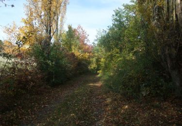 Tocht Stappen Saint-Rémy-de-Chargnat - Le pic d'Usson - Saint Remy de Chargnat - Photo