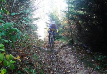 Trail Mountain bike Briod - Centre VTT FFC Premier Plateau, entre Lacs et Vignobles - La Haute Roche - Circuit n°11 - Photo
