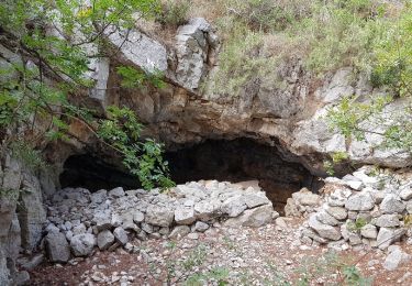 Randonnée Marche Ollioules - Le Destel Grotte des joncs - Photo