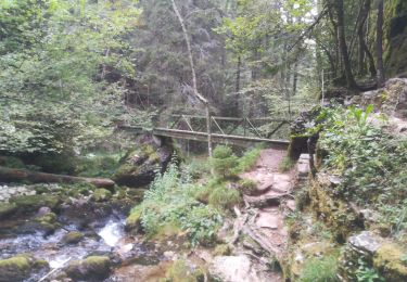 Trail Walking Lans-en-Vercors - bec de l'aigle 2018 - Photo