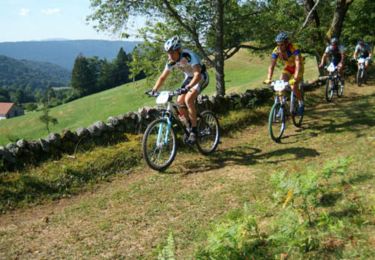 Trail Mountain bike La Haye - Espace VTT FFC Chemins du Coeur des Vosges - circuit n°13 - Les Chattis - Photo