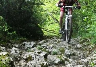Tour Mountainbike Voiteur - Raid VTT Jura 2009 - Photo