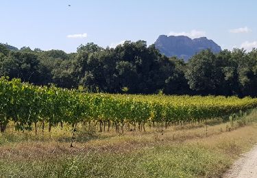 Randonnée Marche nordique Roquebrune-sur-Argens - Roquebrune - Photo