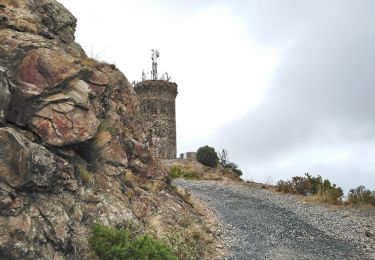 Percorso Marcia Banyuls-sur-Mer - Banyuls-sur-Mer - Tour de Madaloc - 13.5km 675m 4h15 (45m) - 2018 09 09 - Photo