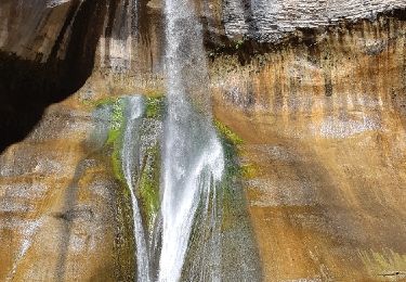 Excursión Senderismo  - lower calf creek falls - Photo