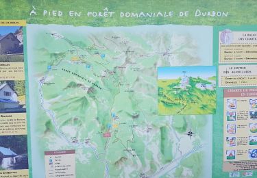 Trail Walking Aspres-sur-Buëch - les annuelles j2 - Photo