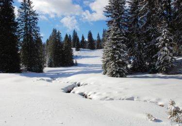 Tocht Sneeuwschoenen Lamoura - Forêt du Massacre - Lamoura - le Boulu - Photo
