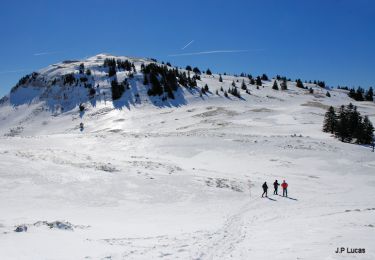 Randonnée Raquettes à neige Mijoux - Les crêtes du Mont Rond - Photo