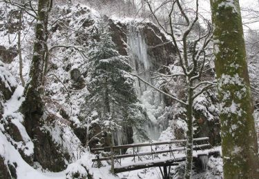 Excursión Raquetas de nieve Ramonchamp - Vosges en Raquettes : Les mille étangs - Photo