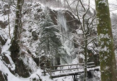 Randonnée Raquettes à neige Ramonchamp - Vosges en Raquettes : Les mille étangs - Photo