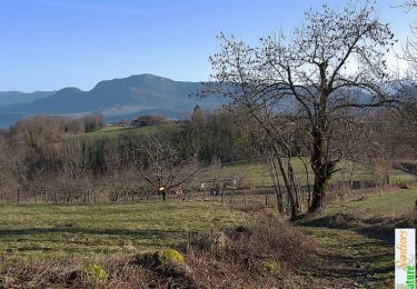 Randonnée Marche Loisieux - Autour du Bois de Glaize - Montagne du Tournier - Photo