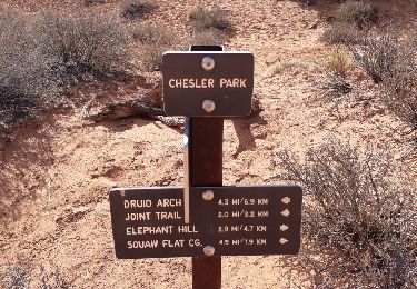 Trail Walking  - chesler park via joint trail  - Photo