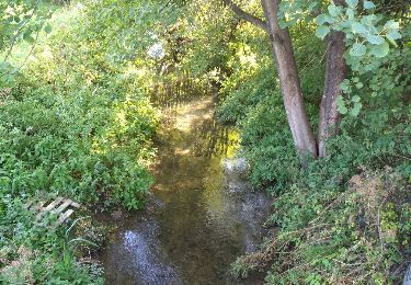 Tour Wandern Baives - Baives-Wallers en Fagne - Photo