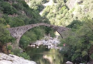 Tour Wandern Ota - boucle des deux ponts des gorges de Spelunca - Photo