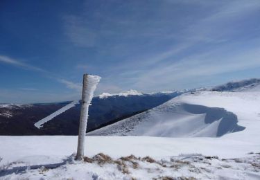 Tour Schneeschuhwandern Boussenac - Pic d'Estibat - Photo