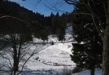Randonnée Raquettes à neige La Bresse - Tour du Lac des Corbeaux - La Bresse - Photo