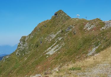 Trail Walking Le Haut-Bréda - roche noire - Photo