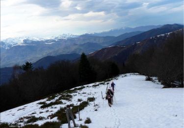 Excursión Senderismo Montagagne - Cap de Carmil - Col de Péguère - Photo