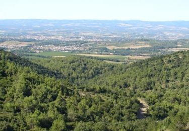 Randonnée Course à pied Palaja - Les crêtes aux portes de Carcassonne - Photo