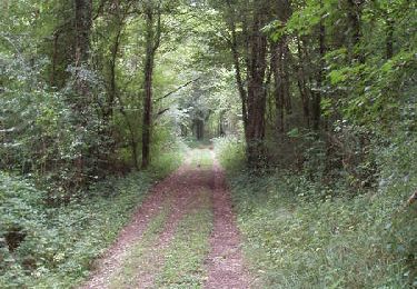 Trail Walking Sorges et Ligueux en Périgord - Sorges en Périgord - Photo