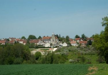 Trail Mountain bike Beautheil-Saints - Espace VTT FFC - Les Coteaux du Morin et de l'Aubetin - Circuit n° 14 - Saints - Photo