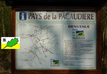 Tour Mountainbike La Pacaudière - VTT - Des étangs de La Pacaudière à la forêt de Lespinasse - Photo