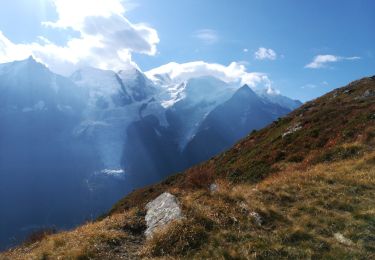 Tour Wandern Les Houches - Merlet aiguillette des Houches - Photo