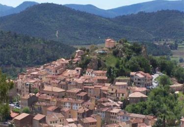 Percorso Corsa a piedi Pierrefeu-du-Var - Drailles de Pierrefeu du Var n°02 - Photo