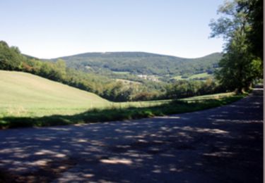 Trail Mountain bike Brassac - Espace VTT FFC - VTT en Pays Brassagais - Circuit n° 03 - Sablayrolles le Quio et la voie romaine - Photo