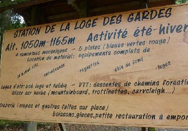 Excursión Bici de montaña Laprugne - VTT - De la station de la Loge des Gardes aux Tourbières de La Verrerie - Photo