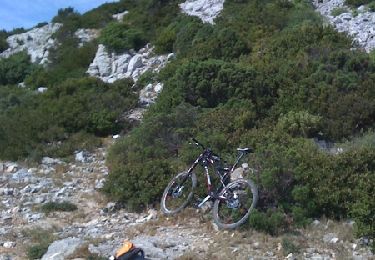 Trail Mountain bike La Palme - Randonnée de la Palme - Photo