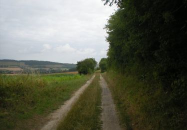 Trail Walking Audrehem - La Ligne d'Anvin - Audrehem - Photo