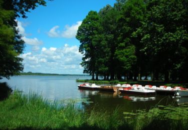 Randonnée V.T.T. Soustons -  Le lac de Soustons - Photo