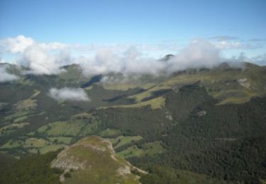 Tour Wandern Laveissière - Le Puy Griou de Super Lioran - Photo