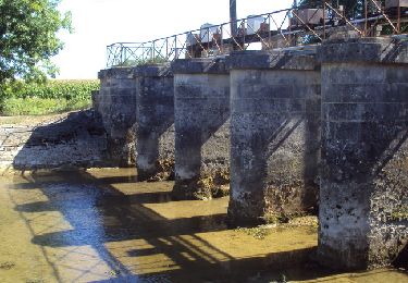 Tocht Mountainbike Tonnay-Boutonne - Tonnay Boutonne - Photo