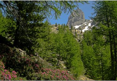 Percorso Marcia San Martino Lantosca - Traversée du Mercantour - Gite du Boréon - La Madone de Fenestre (1908m) - Photo