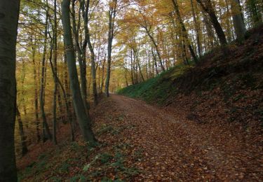 Tour Wandern Saint-Gervais-sous-Meymont - Saint Gervais sous Meymont - Photo