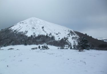 Tocht Stappen Orcines - Le col du Pariou - Orcines - Photo