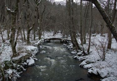 Tour Wandern Landogne - Landogne - Photo