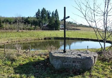 Tour Wandern Bully - Circuit de la Croix du Lac à La Croix des Prés - Bully - Photo