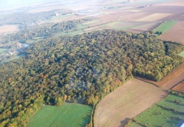 Randonnée Marche Marœuil - Maroeuil - Mont St Eloi - Ecoivres - Bray - Photo