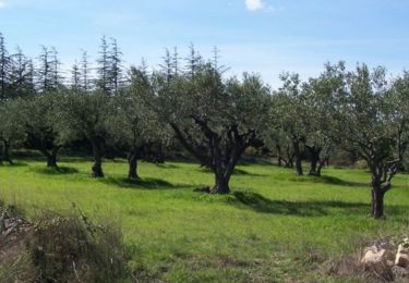 Randonnée Marche Saint-Clément -  Le bois de Paris par Aspères - Photo