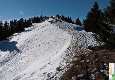 Randonnée Marche Saint-Pierre-de-Chartreuse -  Le Sommet de Pravouta, 1760m - Photo