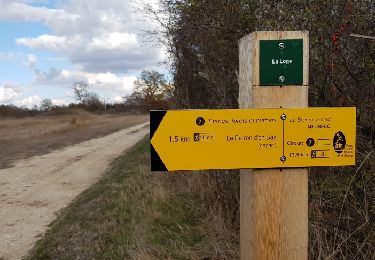 Trail Walking Méobecq - Forêt de Lanscome et étangs - Photo