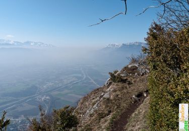 Trail Walking Arbin - La Roche du Guet depuis Arbin, Montmélian - Photo