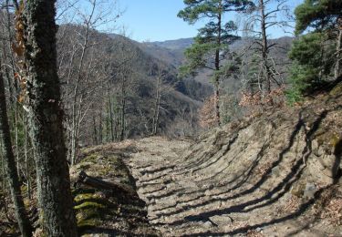 Excursión Senderismo Courgoul - Le chemin des bergères et le Plateau d'Ussel - Courgoul - Photo