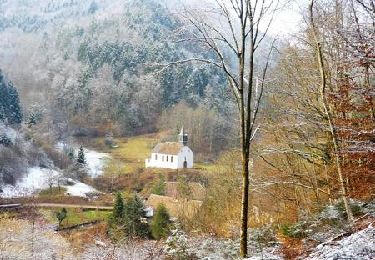 Tour Schneeschuhwandern Weiler - Crêtes des Vosges en hiver - De Villé à Sainte Marie aux Mines - Photo