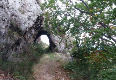 Trail Walking La Bastide - col de palomere . tour de batere . retour via le chemin de fer  - Photo