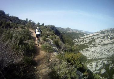 Percorso Mountainbike Saint-Zacharie - Ravins de la Coutronne et des Infernets - St Zacharie - Photo